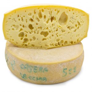 formaggio Plodarkelder - malga mezzano